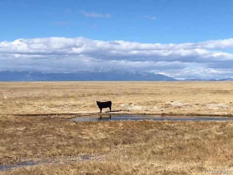 8250 Peyton Hwy, Peyton, CO 80831 photo 2