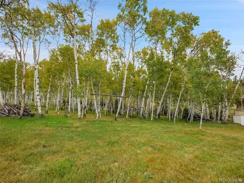 331 Bluebird Ln, Bailey, CO 80421 photo 6