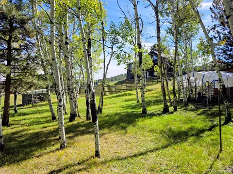 331 Bluebird Ln, Bailey, CO 80421 photo 9