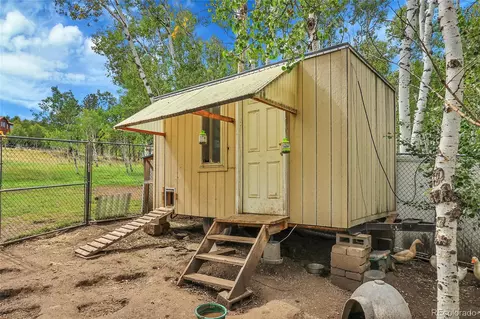 331 Bluebird Ln, Bailey, CO 80421 photo 11