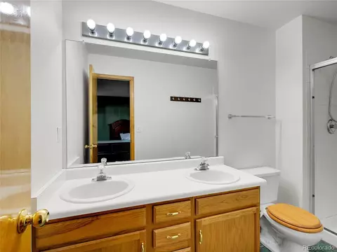 331 Bluebird Ln, Bailey, CO 80421 photo 27