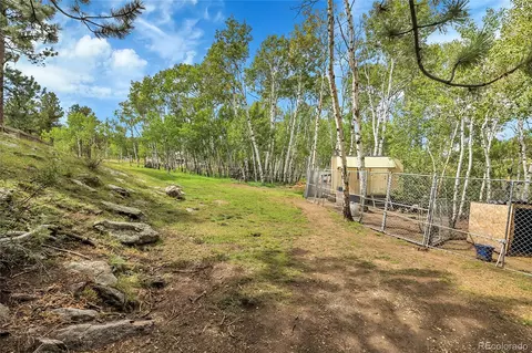 331 Bluebird Ln, Bailey, CO 80421 photo 46