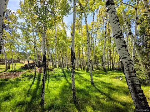 331 Bluebird Ln, Bailey, CO 80421 photo 7