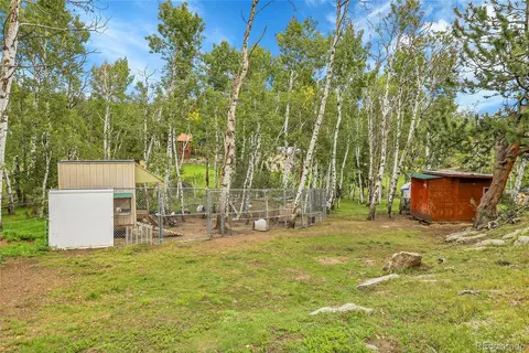 331 Bluebird Ln, Bailey, CO 80421 photo 10