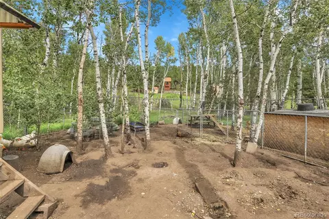 331 Bluebird Ln, Bailey, CO 80421 photo 12