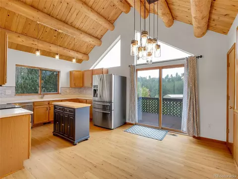 331 Bluebird Ln, Bailey, CO 80421 photo 24