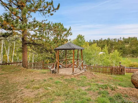 331 Bluebird Ln, Bailey, CO 80421 photo 45