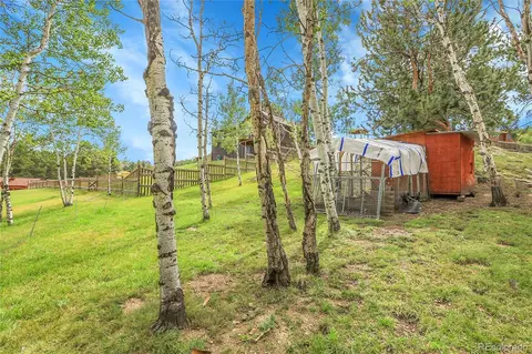 331 Bluebird Ln, Bailey, CO 80421 photo 8