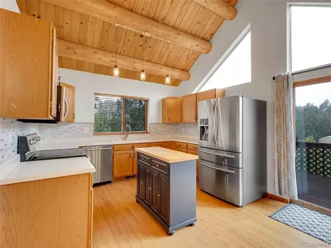 331 Bluebird Ln, Bailey, CO 80421 photo 21
