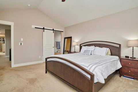 8763 E 55th Ave, Denver, CO 80238 photo 15