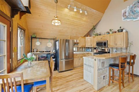101 Star Ln, Bailey, CO 80421 photo 8