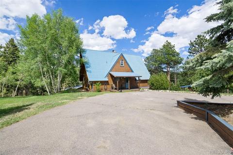 101 Star Ln, Bailey, CO 80421 photo 5