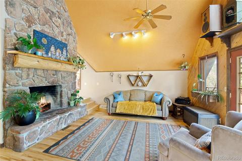 101 Star Ln, Bailey, CO 80421 photo 15