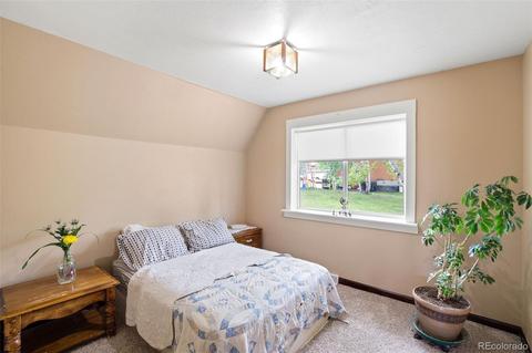 101 Star Ln, Bailey, CO 80421 photo 23