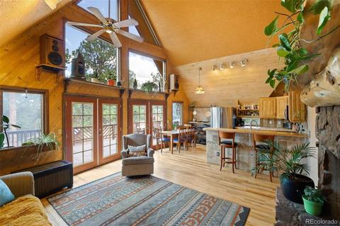 101 Star Ln, Bailey, CO 80421 photo 10