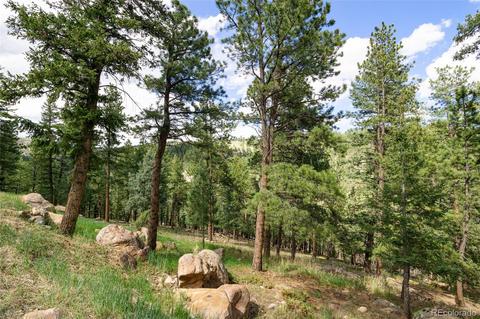 101 Star Ln, Bailey, CO 80421 photo 39