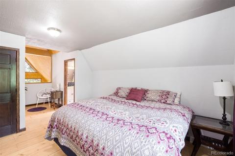 101 Star Ln, Bailey, CO 80421 photo 18