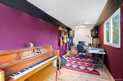 101 Star Ln, Bailey, CO 80421 photo 38