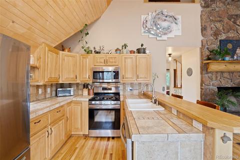101 Star Ln, Bailey, CO 80421 photo 9