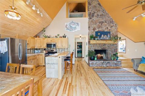 101 Star Ln, Bailey, CO 80421 photo 14