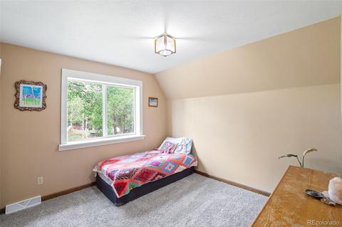 101 Star Ln, Bailey, CO 80421 photo 21