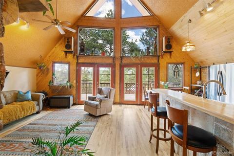 101 Star Ln, Bailey, CO 80421 photo 7