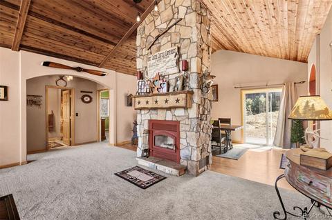 730 Aspen Dr, Bailey, CO 80421 photo 17
