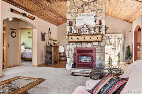 730 Aspen Dr, Bailey, CO 80421 photo 18