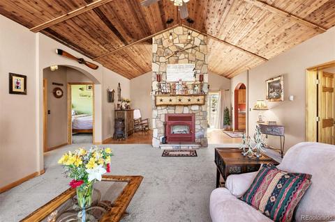 730 Aspen Dr, Bailey, CO 80421 photo 16