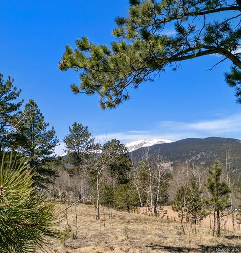 730 Aspen Dr, Bailey, CO 80421 photo 8
