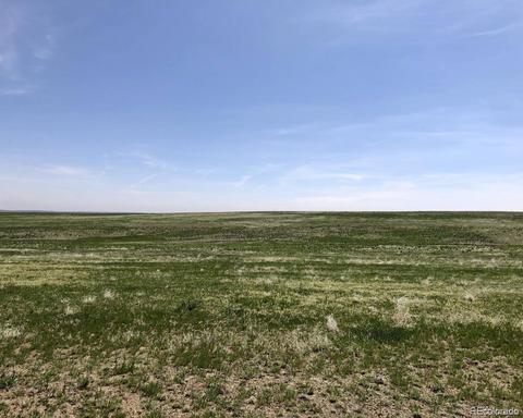 41482 Bijou View St, Agate, CO 80101 photo 10