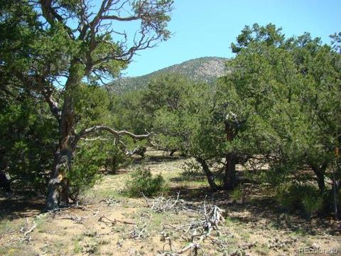 112 Axtel Dr, Mosca, CO 81146 photo 1