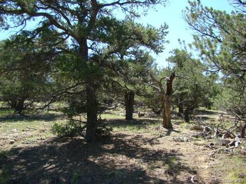 112 Axtel Dr, Mosca, CO 81146 photo 3