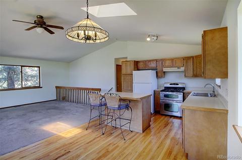 256 Homestead Rd, Bailey, CO 80421 photo 10