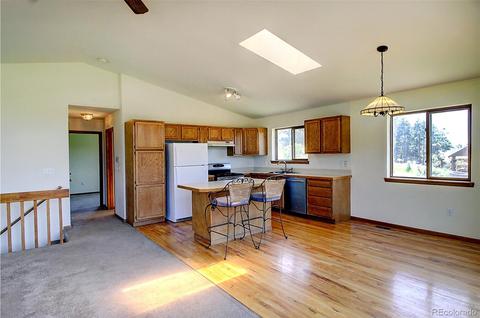 256 Homestead Rd, Bailey, CO 80421 photo 9