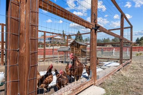 8205 E Summit Rd, Parker, CO 80138 photo 37