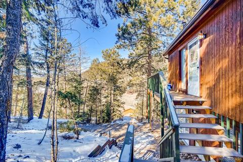 243 Silver Springs Rd, Bailey, CO 80421 photo 22