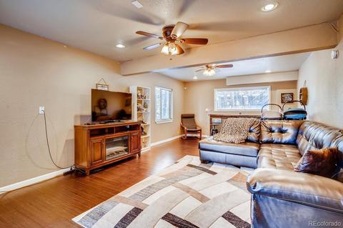 243 Silver Springs Rd, Bailey, CO 80421 photo 17