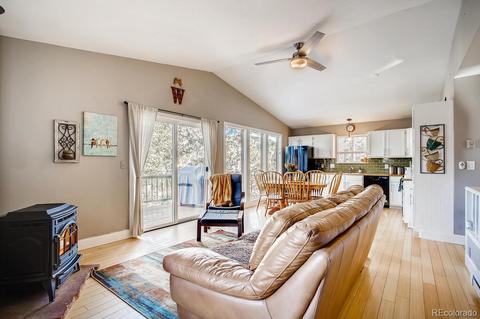 243 Silver Springs Rd, Bailey, CO 80421 photo 2