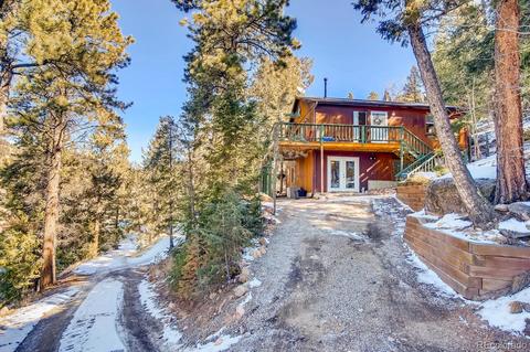 243 Silver Springs Rd, Bailey, CO 80421 photo 27