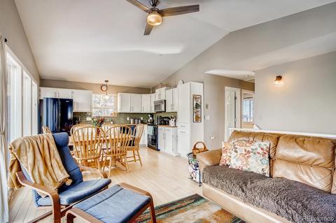 243 Silver Springs Rd, Bailey, CO 80421 photo 1