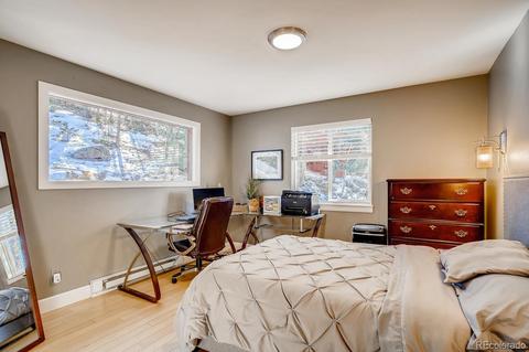 243 Silver Springs Rd, Bailey, CO 80421 photo 11