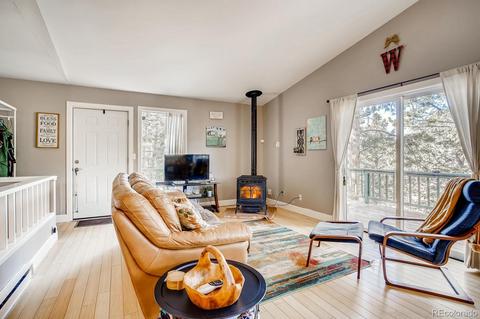 243 Silver Springs Rd, Bailey, CO 80421 photo 9