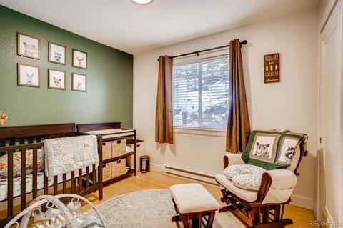 243 Silver Springs Rd, Bailey, CO 80421 photo 15