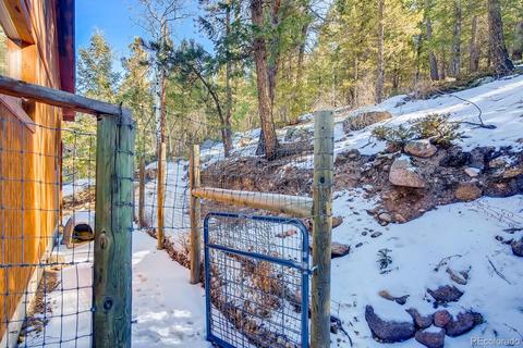 243 Silver Springs Rd, Bailey, CO 80421 photo 25