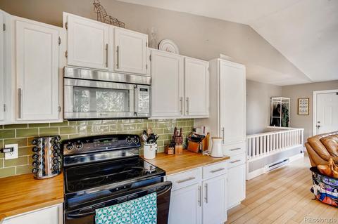 243 Silver Springs Rd, Bailey, CO 80421 photo 6