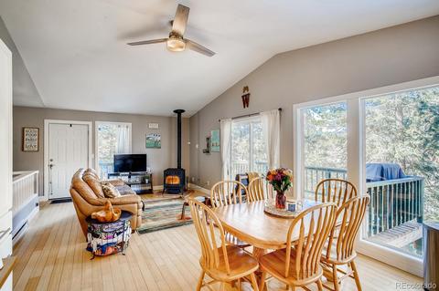 243 Silver Springs Rd, Bailey, CO 80421 photo 8