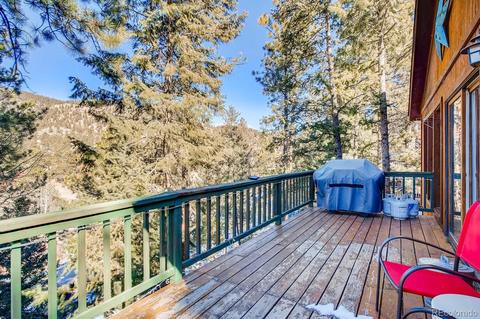 243 Silver Springs Rd, Bailey, CO 80421 photo 21