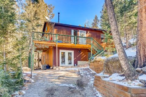 243 Silver Springs Rd, Bailey, CO 80421 photo 26