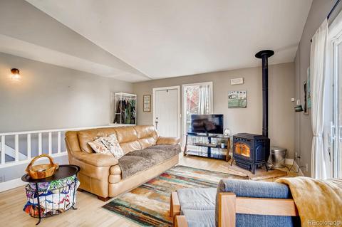 243 Silver Springs Rd, Bailey, CO 80421 photo 10